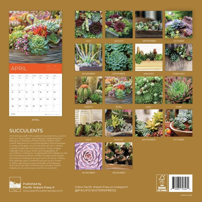'26 Wall Calendar - Pathways - 18mo