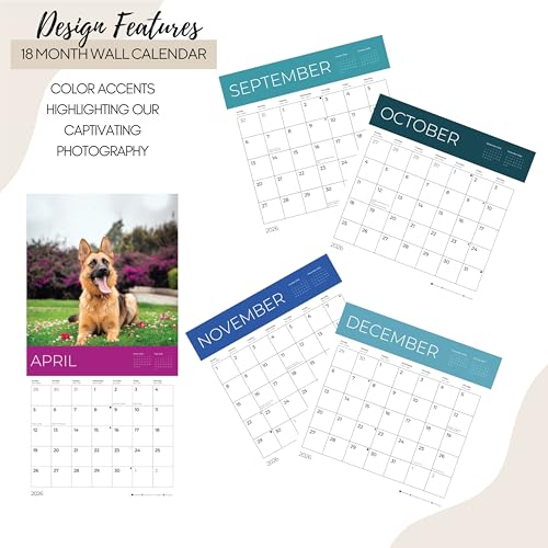 '26 Wall Calendar - Dogs - 18mo
