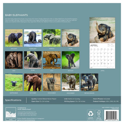 '27 Wall Calendar - Baby Elephants