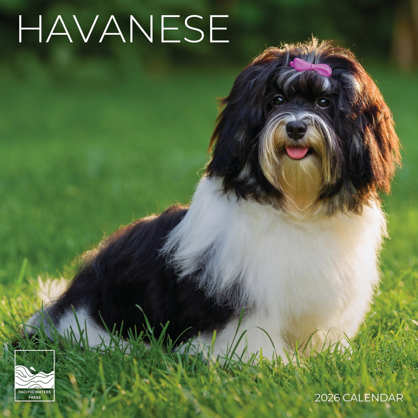 '26 Wall Calendar - Dogs
