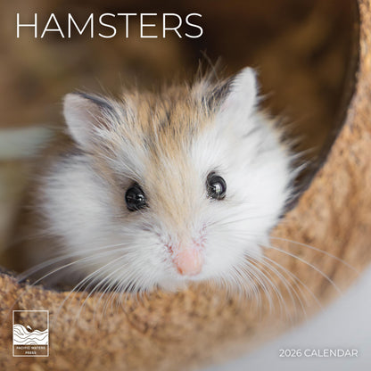 '26 Wall Calendar - Baby Animals