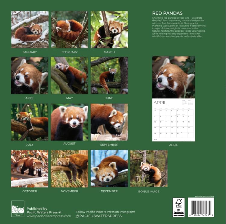 '26 Wall Calendar - Baby Animals