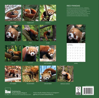 '26 Wall Calendar - Baby Animals