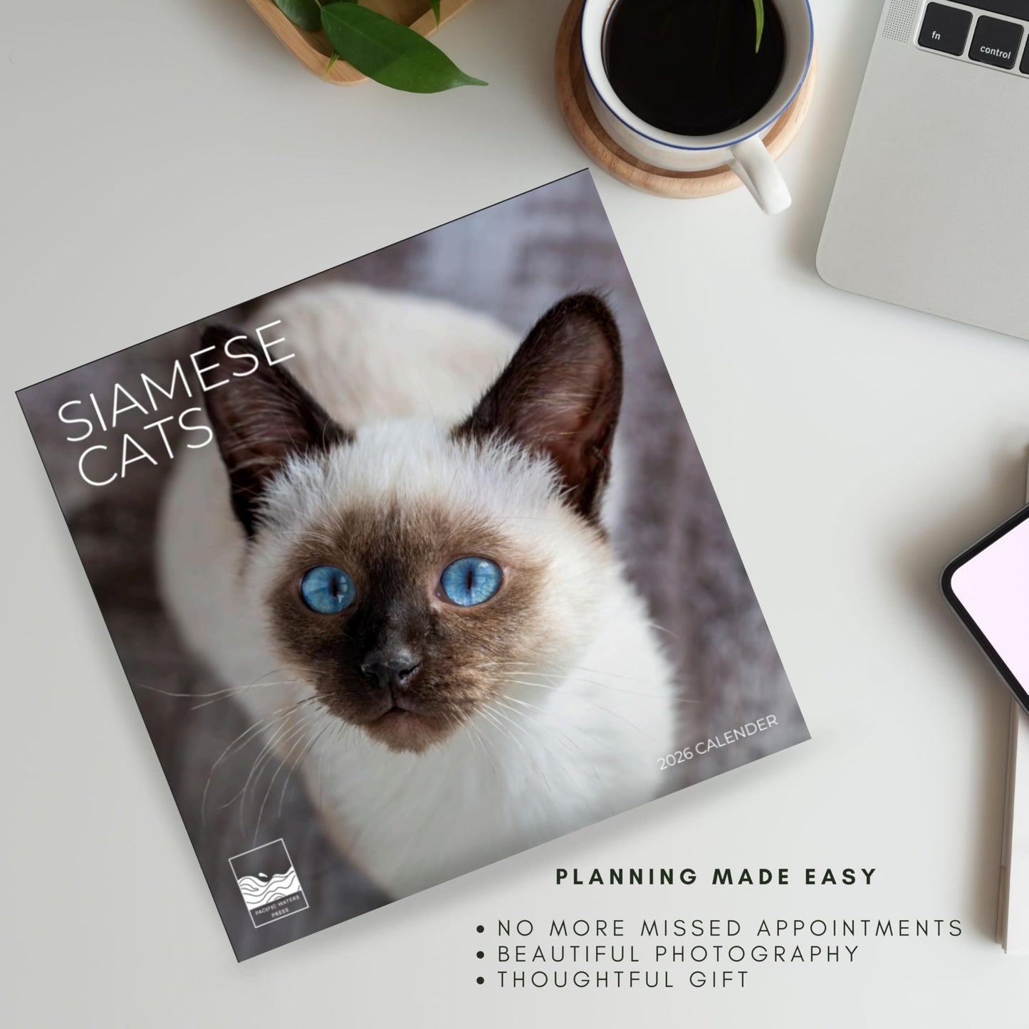 '26 Wall Calendar - Cats & Kittens