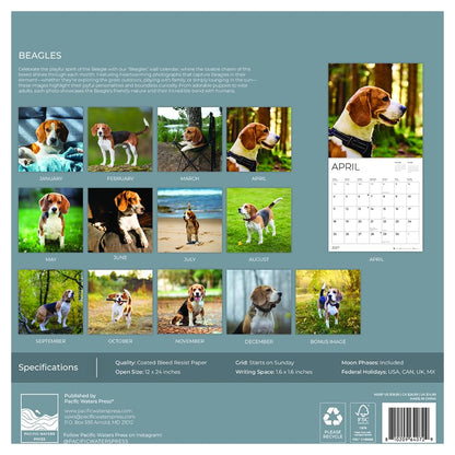 '27 Wall Calendar - Beagles