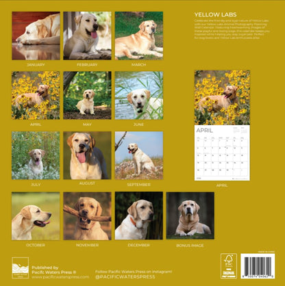 '26 Wall Calendar - Dogs