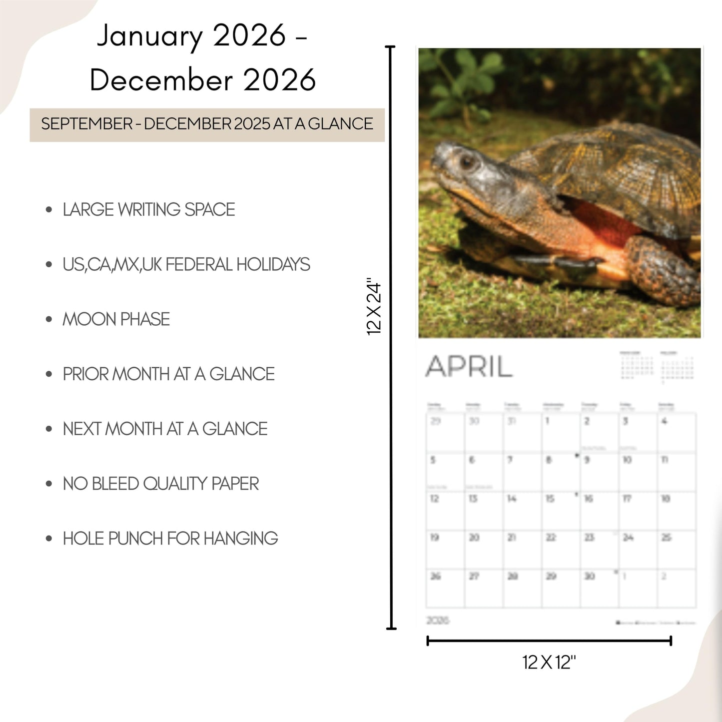 '26 Wall Calendar - Nature