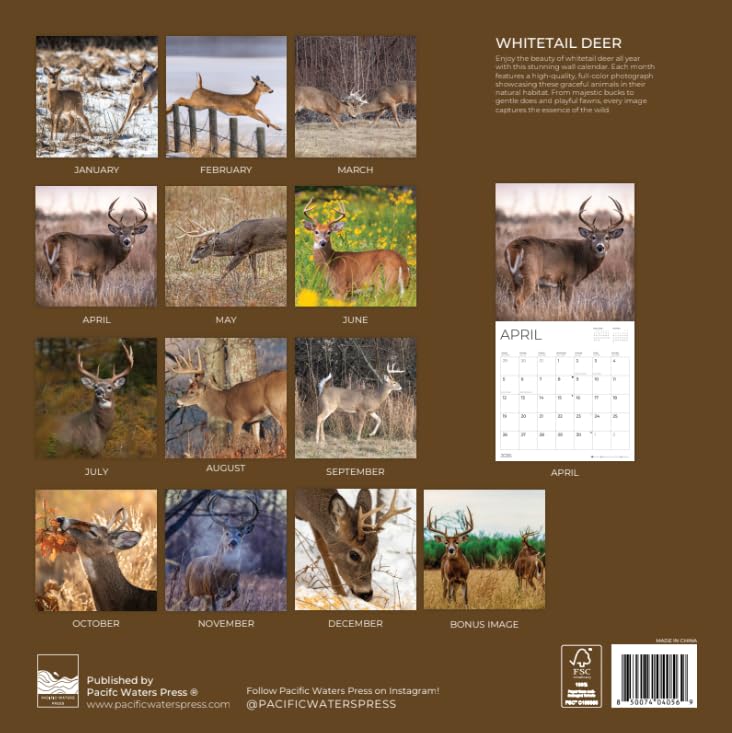 '26 Wall Calendar - Baby Animals