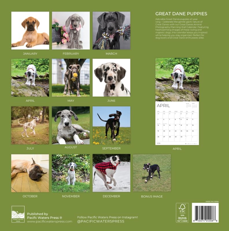 '26 Wall Calendar - Dogs