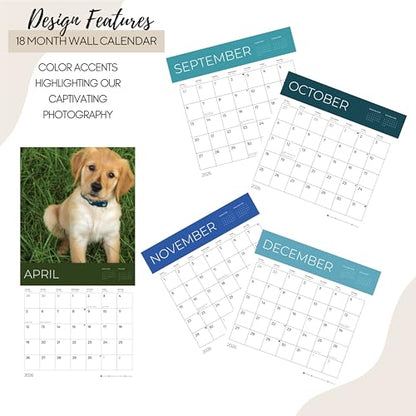 '26 Wall Calendar - Dogs - 18mo