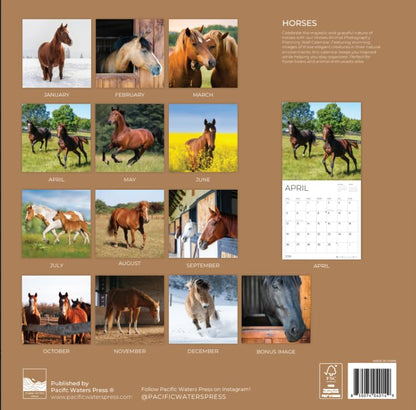 '26 Wall Calendar - Baby Animals