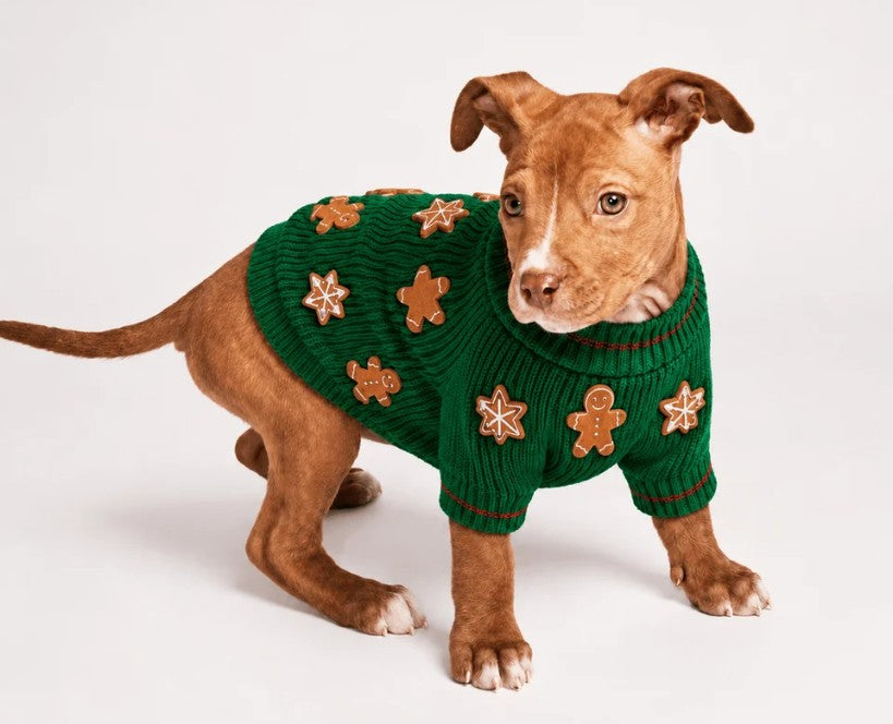 PFC x Found my Animal Gingerbread Dog Sweater